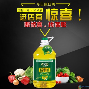 国标一级 稻园牌稻米油粮油米糠油绿色植物油食用油5L 三大健康油